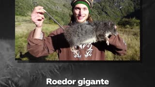 Un roedor de rara especie aparece vivo por primera vez en 30 años