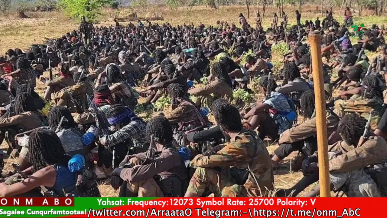 Gabaasa Tarkaanfii ONM-ABO Ebla 10-2025 itti dhiyaadhaa!