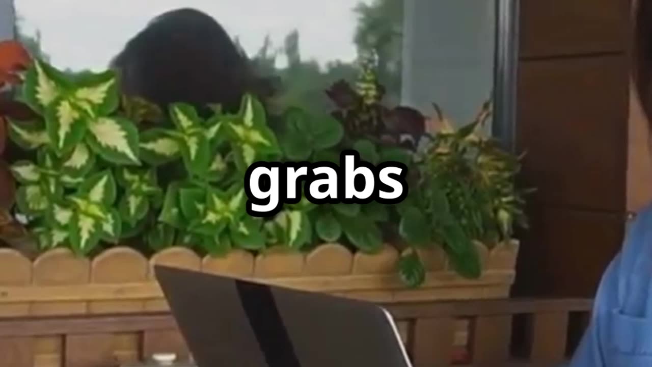 How to Create Content That Sells