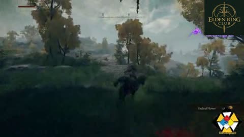 I die when I go to the Weeping Peninsula in Elden Ring