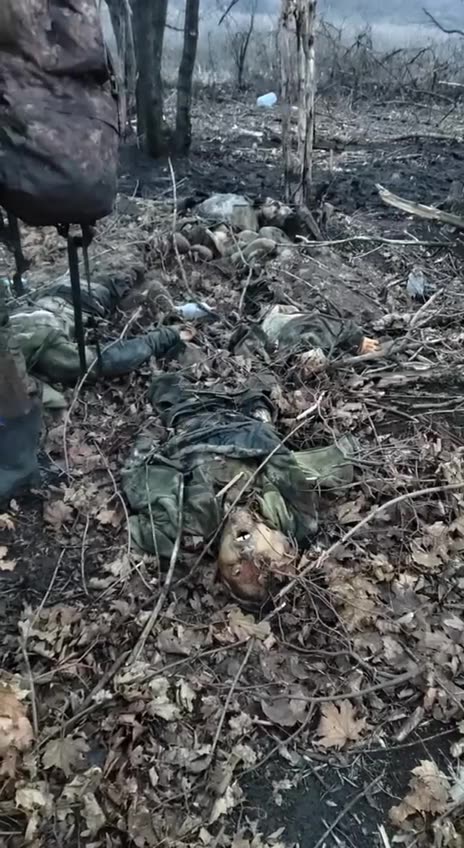 Another planting in kharkov direction.