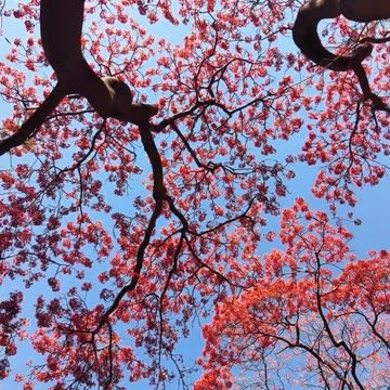 Mindset is everything