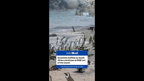 South Africa’s Incredible Emergence From The Ocean