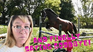First TIME Ever Free JUMPING My HORSE!