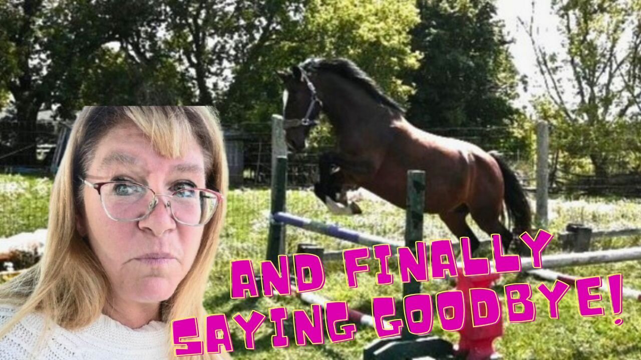 First TIME Ever Free JUMPING My HORSE!