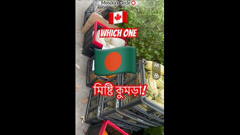 ⭕️Canada's Squashes vs. Bangladesh's | Which One is the Mishti Kumra- Sweet Pumpkin(মিষ্টি কুমড়া!)