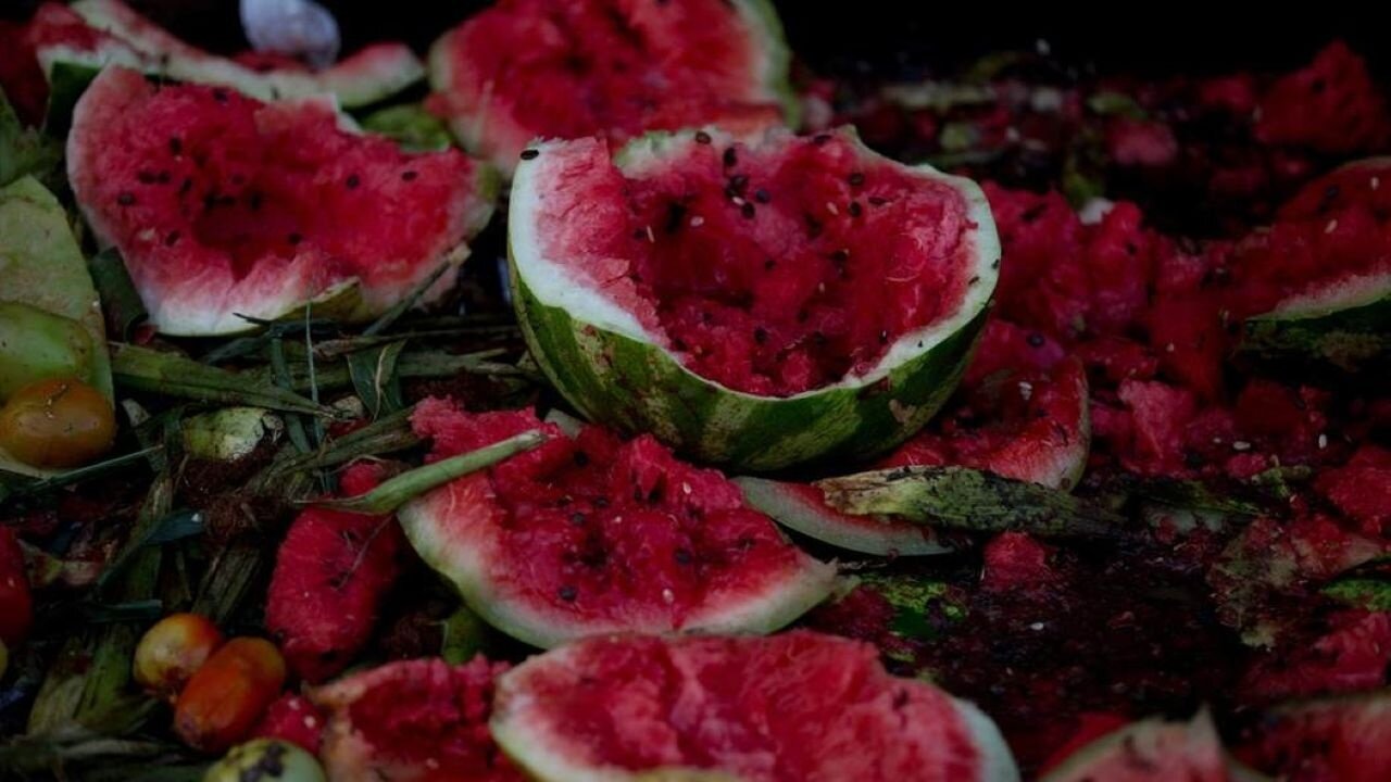 Lunatic Liberals Lose It: Smashing Watermelons And TVs In A Tantrum-Fueled Laughable Revolution