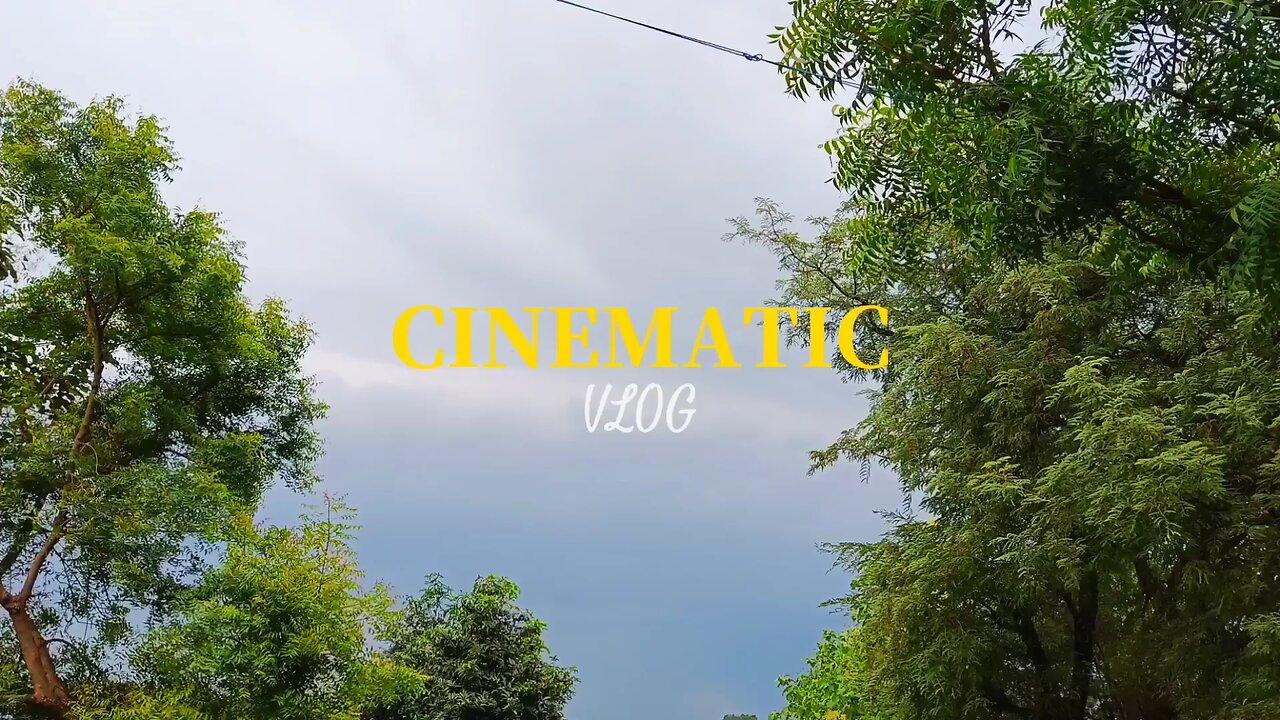 My first travel vlog
