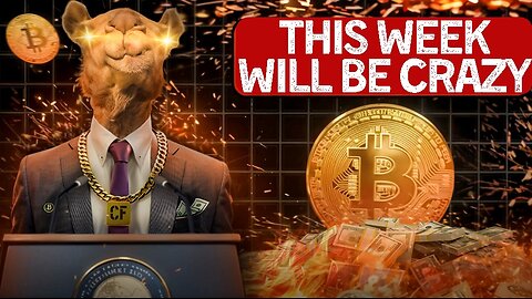 Markets Just Entered INSANITY MODE
