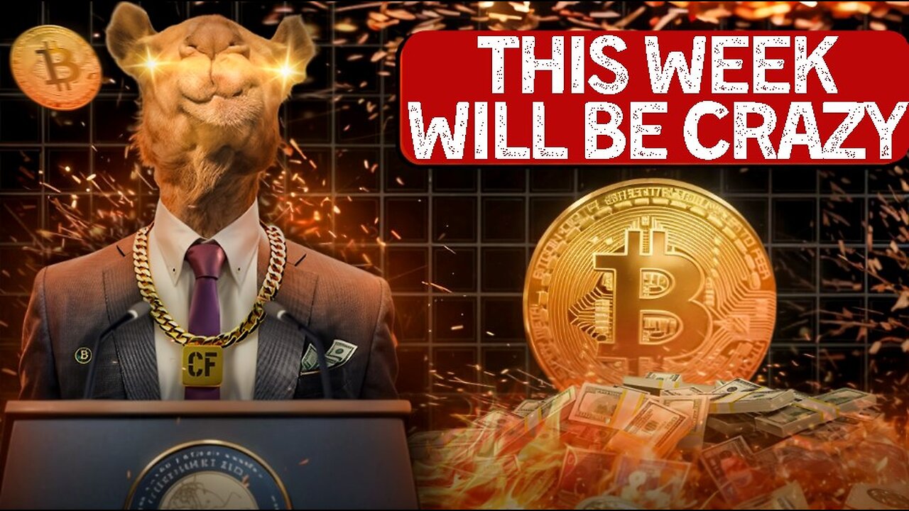 Markets Just Entered INSANITY MODE
