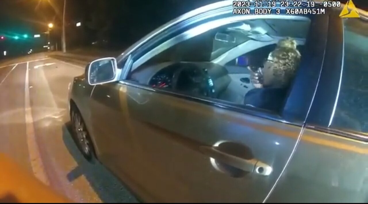 Traffic stop leads to meltdown