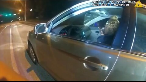 Traffic stop leads to meltdown
