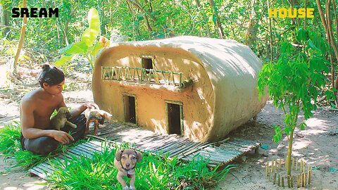 "Tiny Dog House Project in the Heart of the Forest"