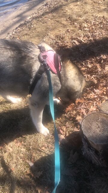 Saturday April 12, I once thought all ￼things were so very important.