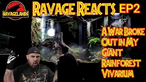 Ravage Reacts : Episode 2 : A War Broke Out in My Giant Rainforest Vivarium