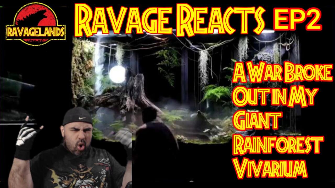 Ravage Reacts : Episode 2 : A War Broke Out in My Giant Rainforest Vivarium