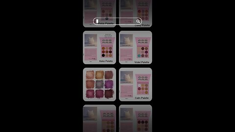 New Palette Collection