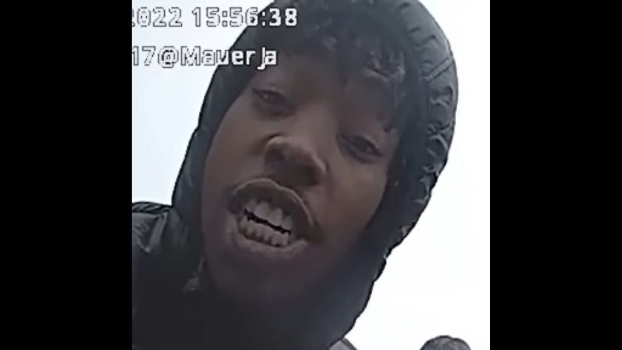 The Experiment Has Failed.Are We Done? Black Crime,Lies,Anti-White Animus. Oh And Some Movie Stuff