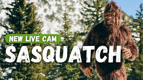 Sasquatch Cam! powered by EXPLORE.org