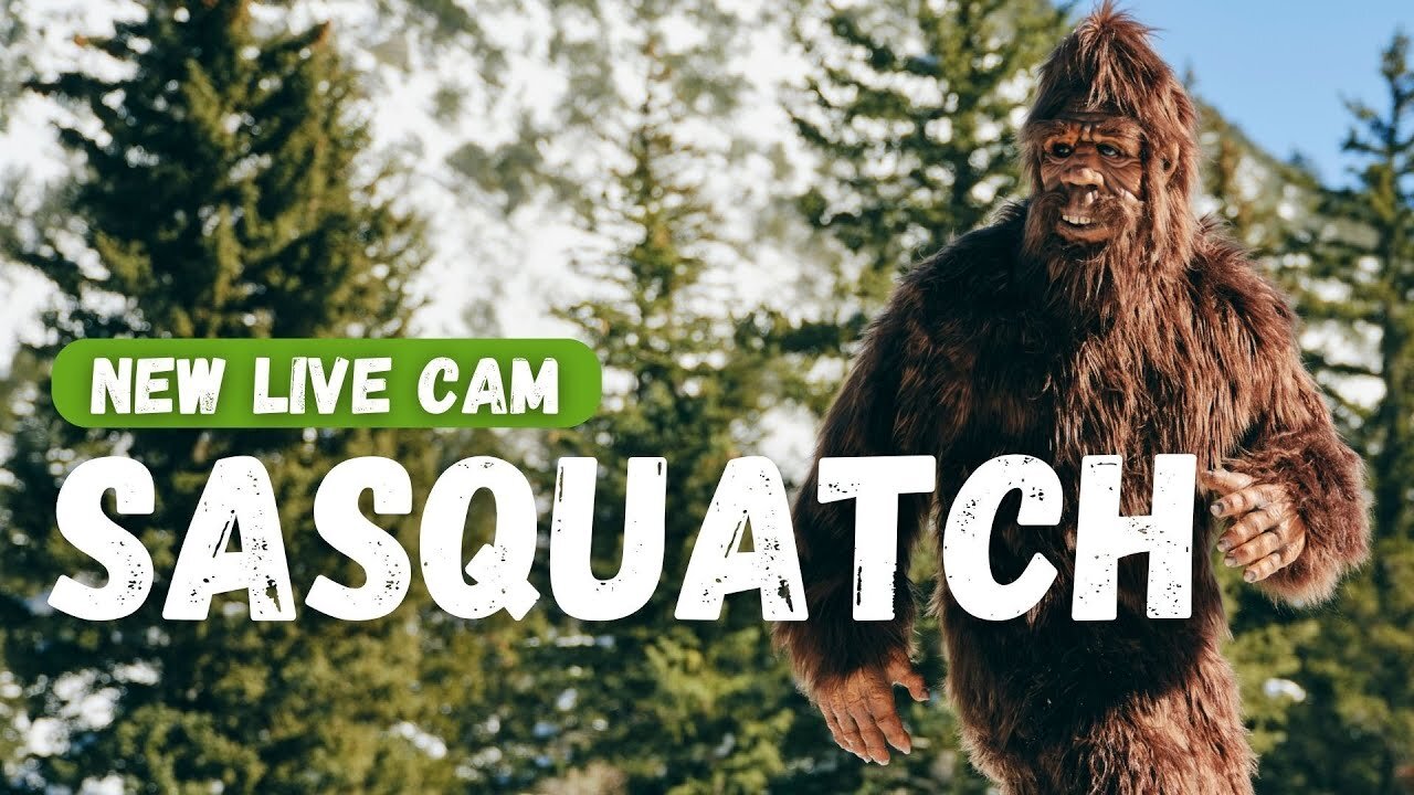 Sasquatch Cam! powered by EXPLORE.org