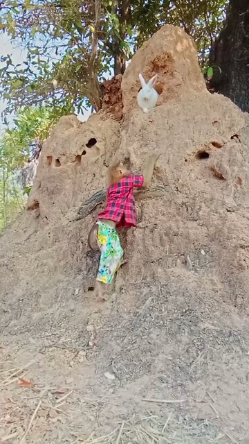 Well Best SokYaa, OG, Pao & Mom Are Famous Around The World #shorts #anime #trend #edit