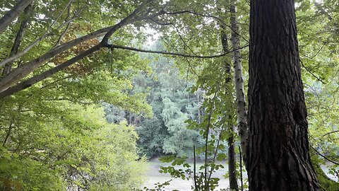 Monodruid (Live) Ardingly — Ardingly Reservoir — Session 2 (12th August, 2025)