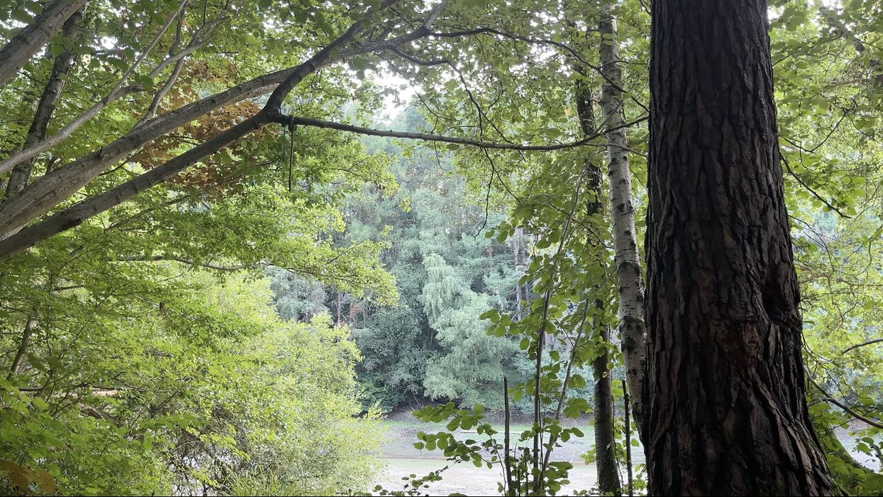 Monodruid (Live) Ardingly — Ardingly Reservoir — Session 2 (12th August, 2025)