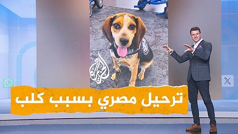 شبكات ترحيل مصري بسبب كلب أمريكي