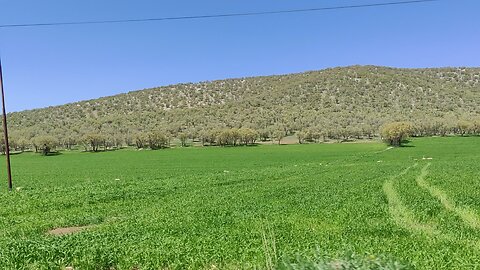 nature of kermanshah