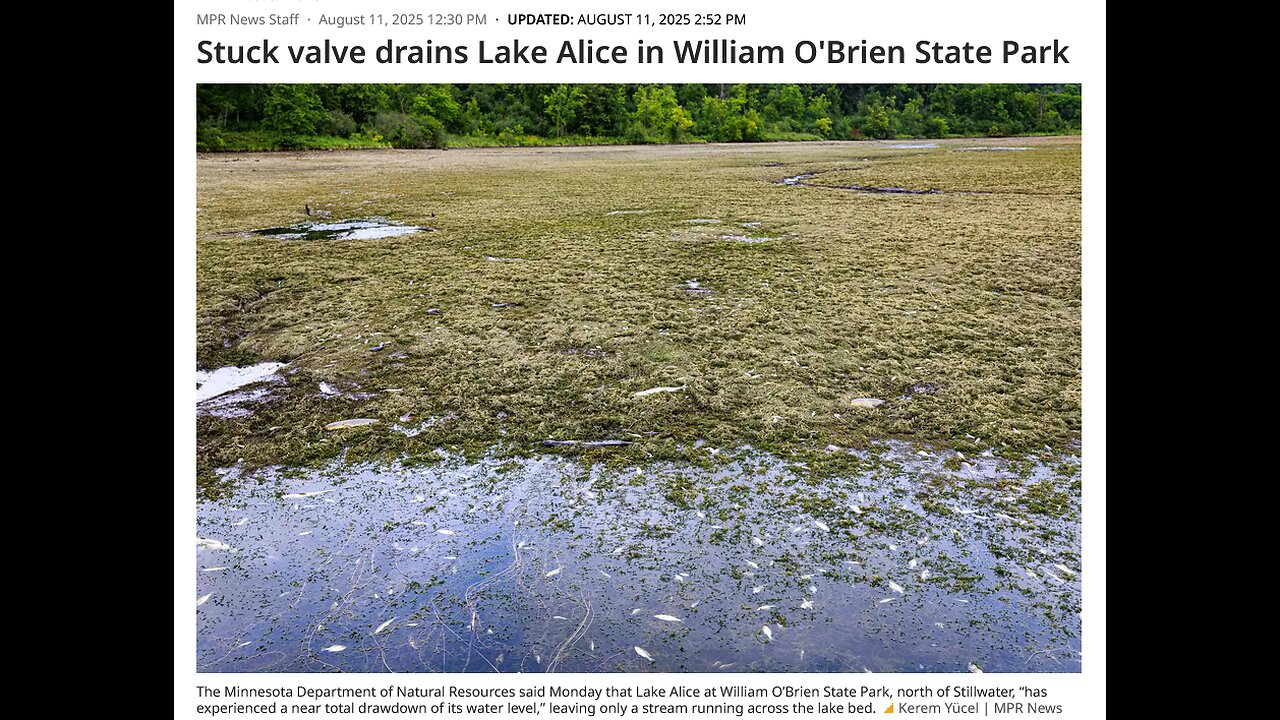 Stuck Control Valve Drains Lake in Minnesota State Park