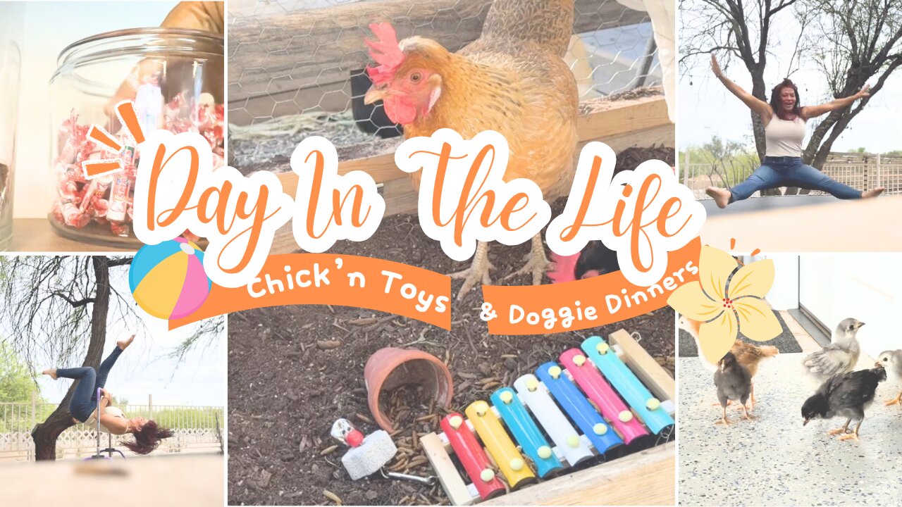 DAY IN THE LIFE // HOMEMAKING, WORK, DINNER FOR 6 // CHICKEN TOYS? GET IT ALL DONE!