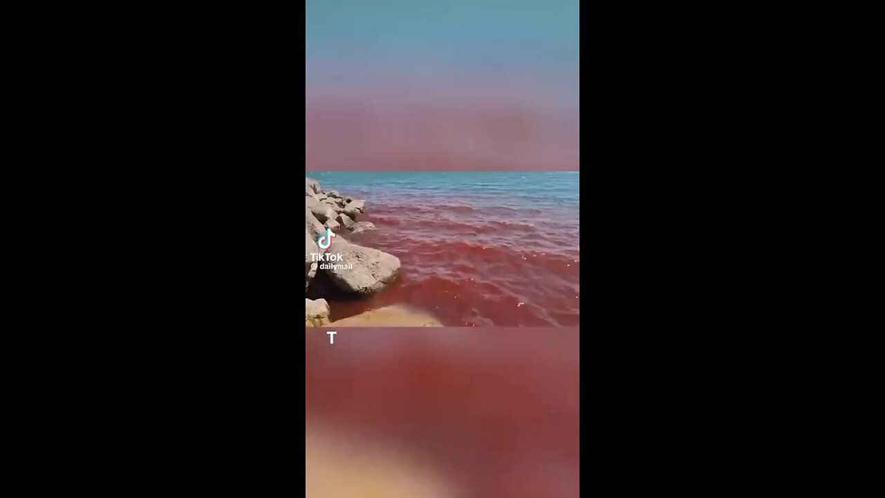 The sea turned red