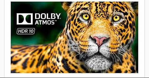 ANIMAL BEST DOLBY VISION HDR 8K and 4k VIDEO