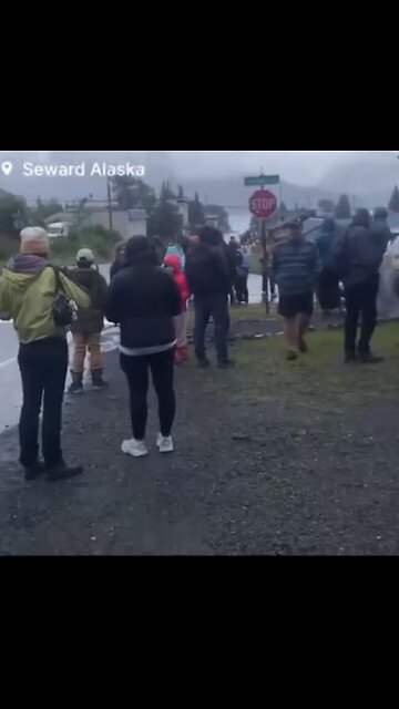 TSUNAMI ALERT🌊🌎🚨📸7.3 MAGNITUDE EARTHQUAKE HITS ALASKA COAST🚨🌎🚨💫