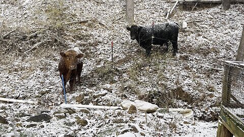 Seems a Little Early for Snow.....