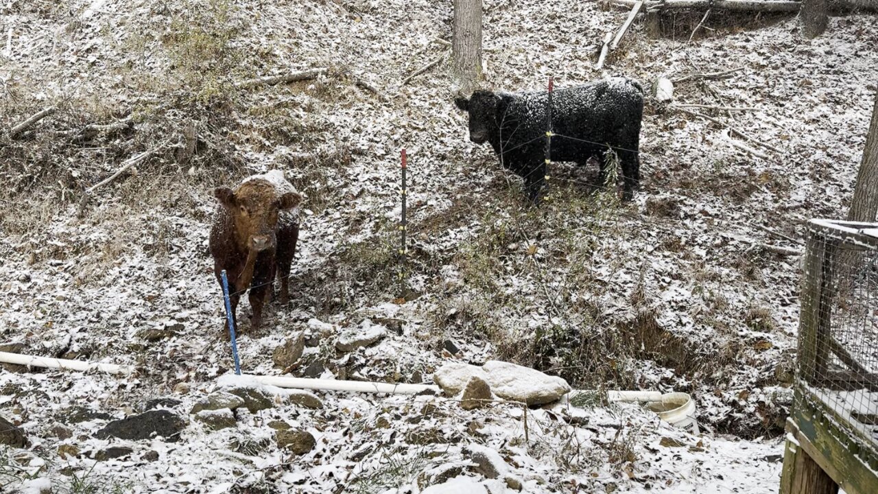 Seems a Little Early for Snow.....