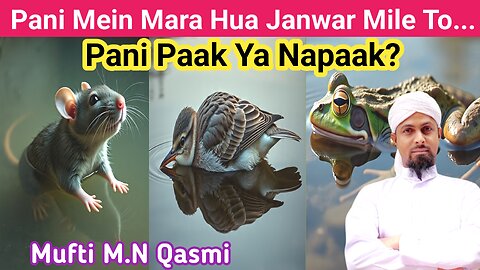 Agar Pani Mein Mara Hua Janwar Mile To Pani Kab Napaak Hota hai? #paknapak