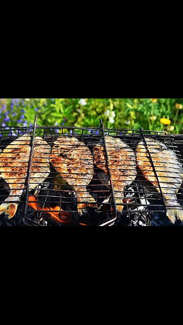 Fish on the grill