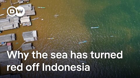 Concern grows over illegal nickel mining in Indonesia | DW News