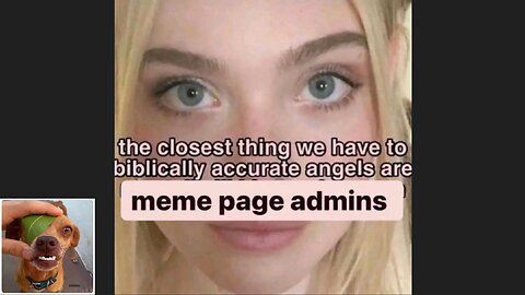 Memes That Will 99.0231% Make You Laugh. (e455)