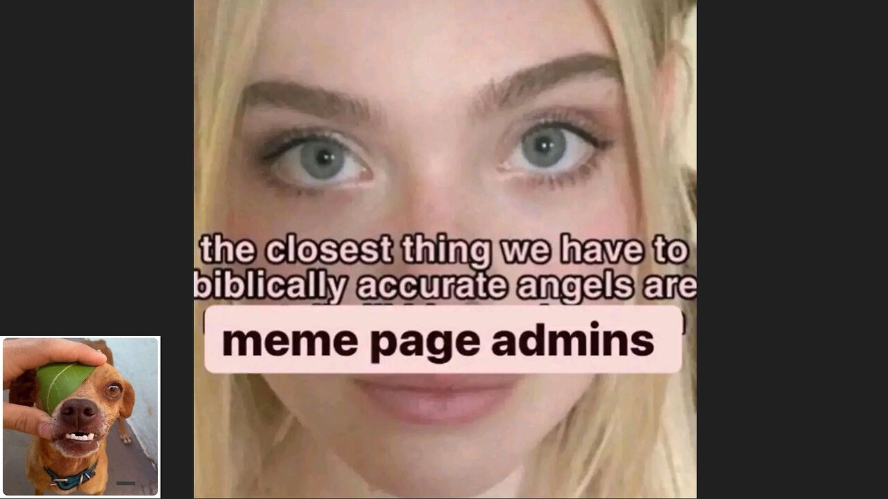 Memes That Will 99.0231% Make You Laugh. (e455)