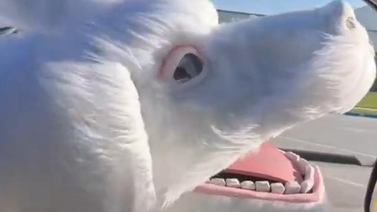 @VincentCrypt46 · Mar 29 would drive the countryside like this #Vincent #KENNEDY #JFK #JR