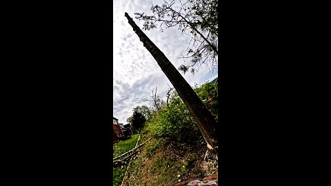 oak bounce