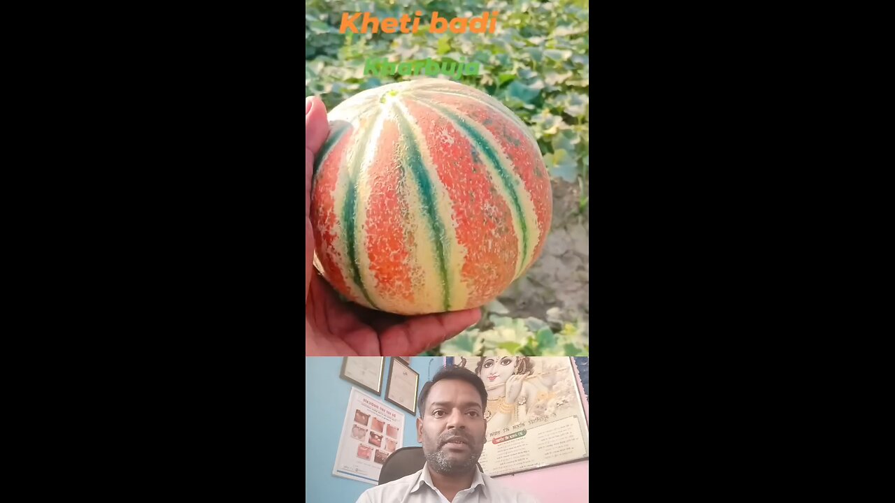 क्या शुगर में खरबूजा खा सकते है ।