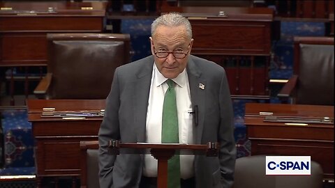 Sen Chuck Schumer Blames Trump For Chaos
