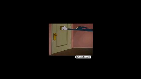 TOM N JERRY