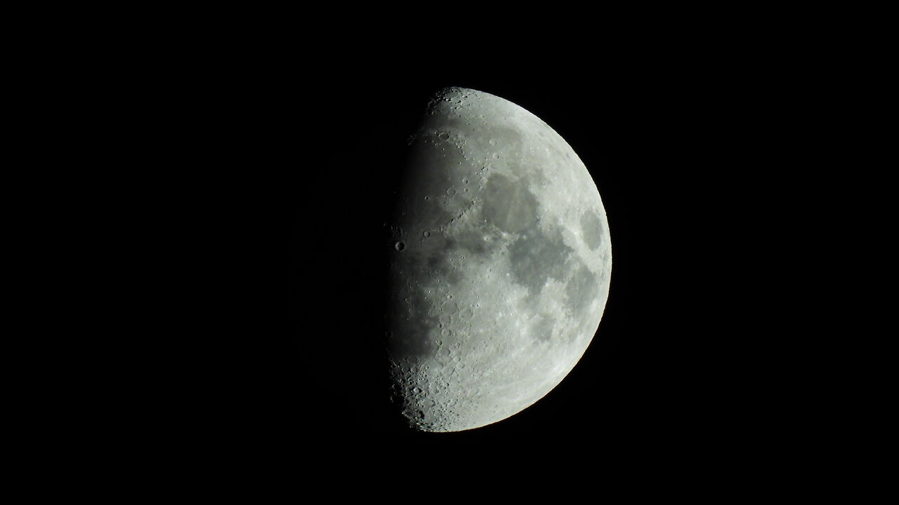 Free Speech Platform My Ass.