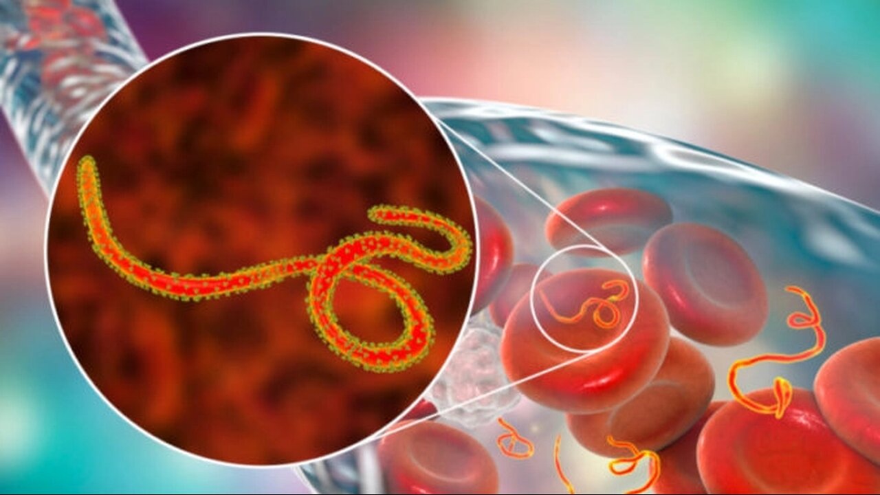 Grandes tueuses : Le virus Ebola | Inserm [Flokossama]
