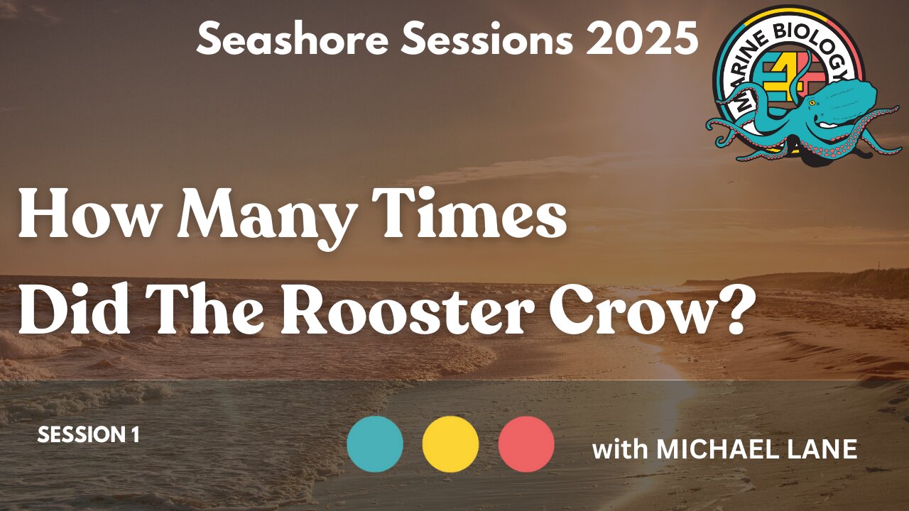 How Many Times did the Rooster Crow?