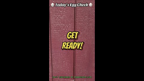 🥚 Today’s Egg Check! 🥚 #shorts